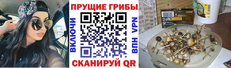 Псилоцибиновые грибы GOLDEN TEACHER  МЕГА ссылки  Геленджик 
