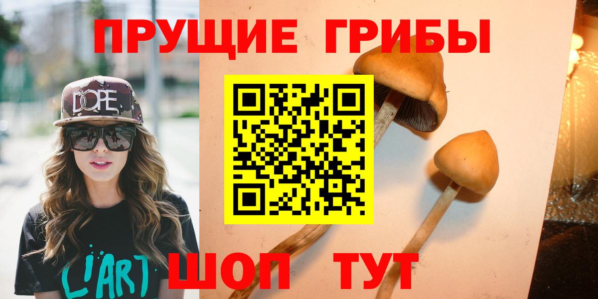 Псилоцибиновые грибы Cubensis  Вход с VPN  Галлюциногенные грибы Psilocybe  хочу наркоту  Геленджик 
